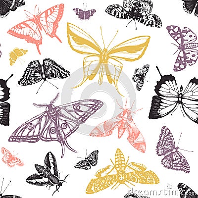 Hand drawn butterflies seamless pattern. High detailed insects backdrop in vintage style. Engraved butterflies entomological Vector Illustration