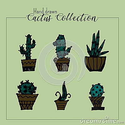 Hand drawn cactus collection in green background Vector Illustration