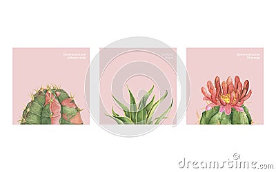 Hand drawn of cactus and succulents Stock Photo