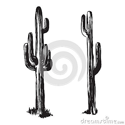 Hand drawn cactuses. Desert plants vector illustration. Black isolated on white background Vector Illustration