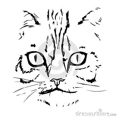 Hand Drawn Cat Face. Cat Head. Vector Vector Illustration