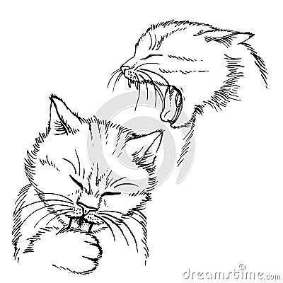 Hand drawn cat. Vector Illustration