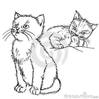 Hand drawn cat. Vector Illustration