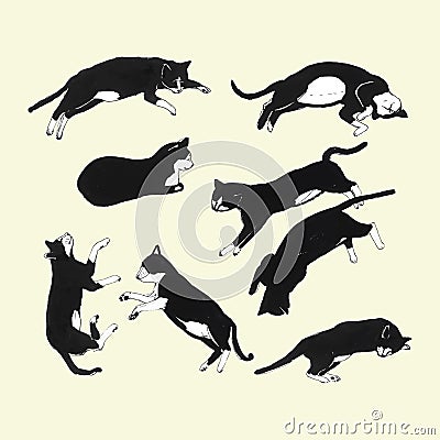 Hand drawn cats sleeping in different poses. Vector Illustration