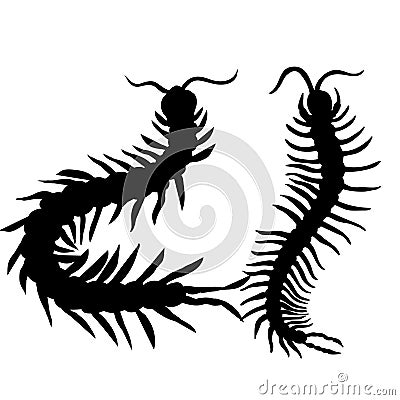 Hand-drawn centipede cartoon, insect icon. vector Vector Illustration