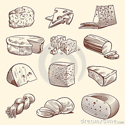 Hand drawn cheese. Various types of cheeses. Tasty brie, mozzarella and parmesan appetizer foods. Doodle sketch vintage Vector Illustration