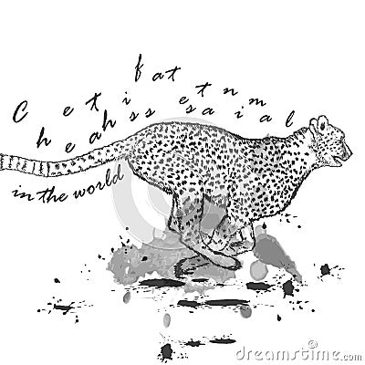 Hand drawn cheetah animal running with ink spots Stock Photo