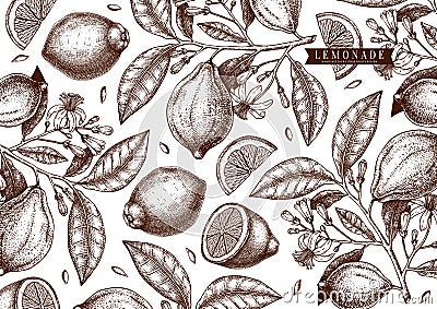 Hand drawn citrus fruits background. Vector lemons design with fruits, flowers, seeds, leaves sketches. Perfect for banners, Vector Illustration