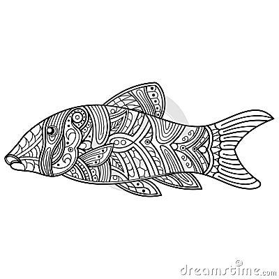 Hand drawn of clown loach in zentangle style Vector Illustration