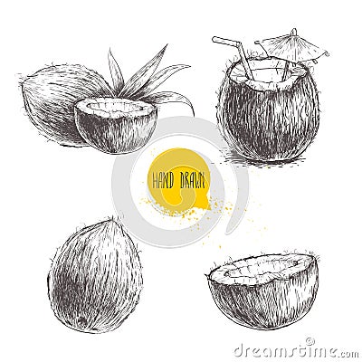 Hand drawn coconut set. Cocktail on white background. Vector Illustration