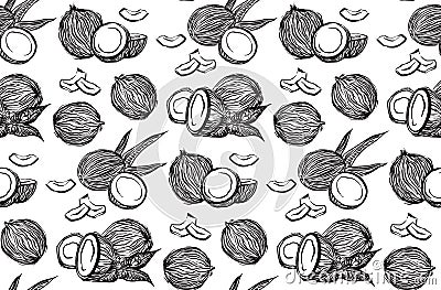 Hand drawn coconuts outline sketch seamless pattern. Vector black ink drawing coco fruits. Graphic illustration, isolated on white Vector Illustration
