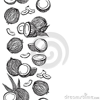 Hand drawn coconuts outline sketch vertical border. Vector black ink drawing coco fruits. Graphic illustration, isolated on white Vector Illustration