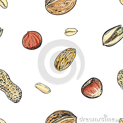 Hand drawn color vector seamless pattern of walnuts, hazelnuts, pistachios, peanuts. sketch. Vector eps 8. Vector Illustration