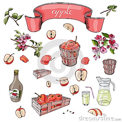 Hand drawn colored sketch of different objects, pink malus flowers, red apples, basket, bottle and tape on white background Vector Illustration