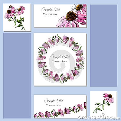 Hand drawn colored sketch with wreath of echinacea flowers and bouquet. Set greeting and visit card. Vector Illustration