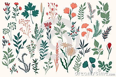 Hand drawn colorful botanical design pack. Vector Illustration