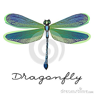 Hand drawn colorful dragonfly Vector Illustration