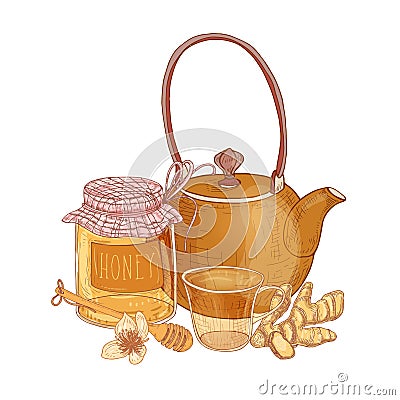 Hand drawn composition with teapot, cup of tea, glass jar with honey, dipper, ginger isolated on white background Vector Illustration