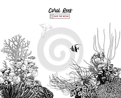 Hand drawn coral reef with tropical fishes Vector Illustration