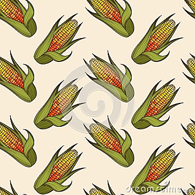 Hand drawn corn cob seamless pattern Vector Illustration