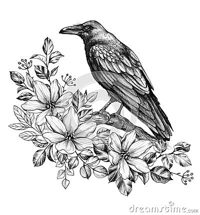 Raven with Flowers Pencil Drawing Stock Photo