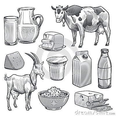 Hand drawn dairy products. Farm cow and goat milk healthy fresh product. Butter and cottage cheese, yogurt vintage Vector Illustration