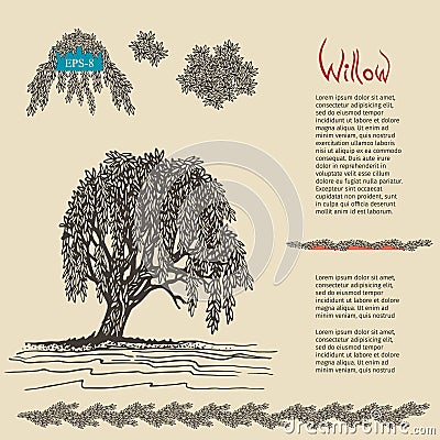 Hand drawn decorative Willow tree. Vector illustration Vector Illustration