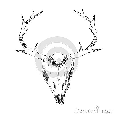 Hand-drawn deer skull with native ornament Vector Illustration