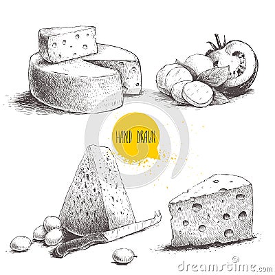 Hand drawn different type of cheese set. Vector Illustration