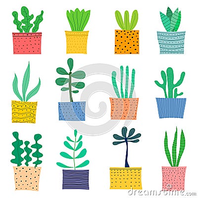 Hand Drawn Doodle Cactus Vector Set. Vector Illustration