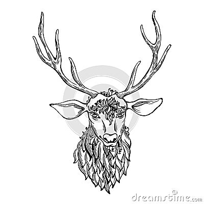 Hand drawn doodle deer Vector Illustration