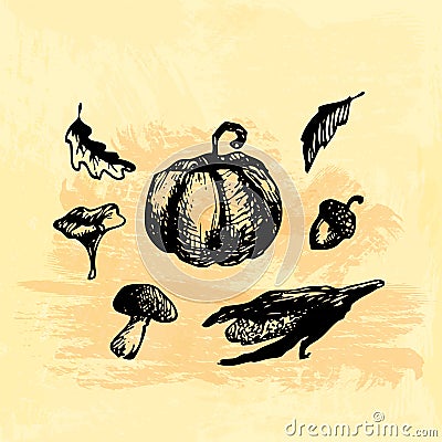 Hand drawn doodle harvest elements. Corn, pumpkin, leaf, mushrooms, acorn. Black images, yellow watercor background. Vector Illustration