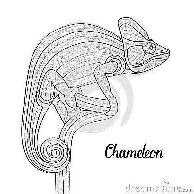 Hand drawn doodle outline chameleon illustration. Decorative in zentangle style. Patterned fiery on the grunge Vector Illustration