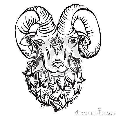 Hand drawn doodle ram Vector Illustration