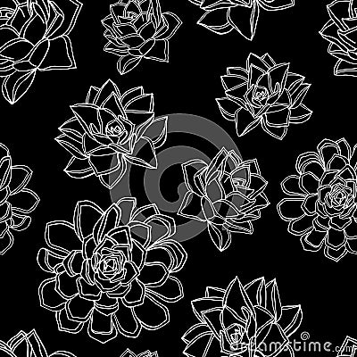 Hand drawn doodle style seamless pattern with common houseleek, Sempervivum tectorum succulents Cartoon Illustration