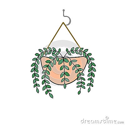 Hand drawn doodle vector drawing of potted lipstick vine plant in pink pot hanging on hook. Interior decoration urban jungle Vector Illustration