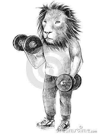 Dressed up lion exercising with dumbbell Stock Photo