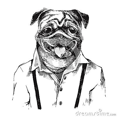 Hand drawn dressed up pug in hipster style Vector Illustration