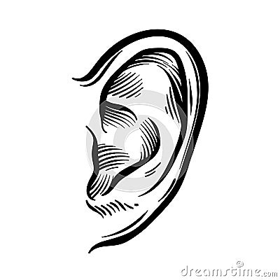 Hand Drawn Ear Sketch Symbol. Vector Listen Element In doodle Style isoleted on white Vector Illustration