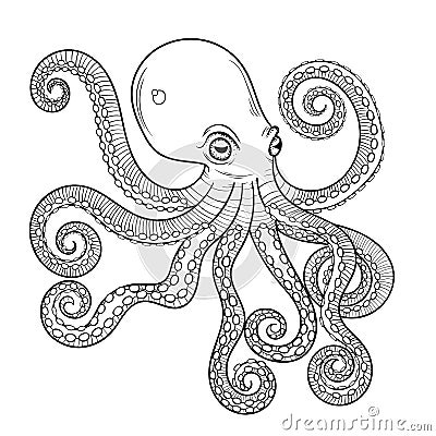 Hand drawn engraving Octopus, animal totem for adult Coloring Pa Vector Illustration