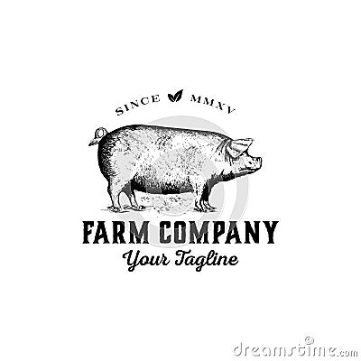 Hand drawn farm logo design vector - vintage pig logo design inspiration - Vector Illustration