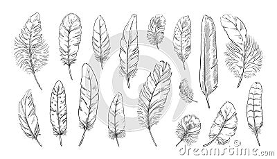 Hand drawn feather. Engraved quill tattoo. Ink writing pen vintage drawing. Old bird feathering silhouettes. Goose or Vector Illustration