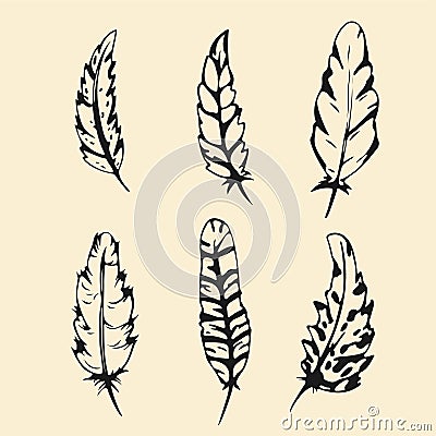 Hand drawn Feather set. Outline silhouette feather vector illustration Vector Illustration