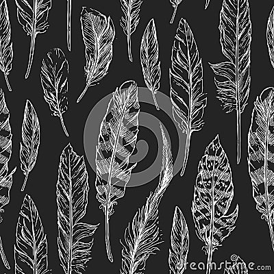 Hand drawn feathers Vector Illustration