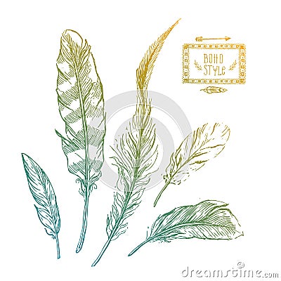 Hand drawn feathers Vector Illustration