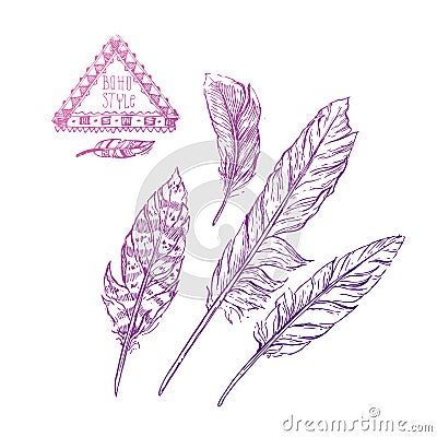 Hand drawn feathers Vector Illustration