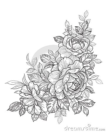 Hand Drawn Floral Bunch with Roses and Leaves Vector Illustration