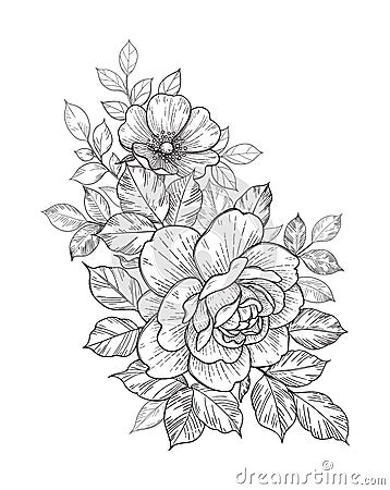 Hand Drawn Floral Bunch with Roses and Leaves Vector Illustration