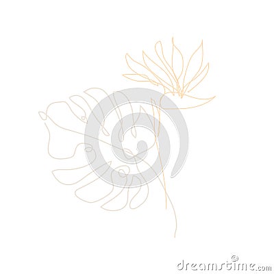 Hand drawn floral decoration Vector Illustration