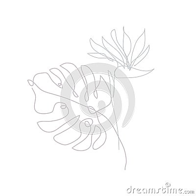 hand drawn floral decoration Vector Illustration